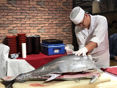 Japan tuna sashimi