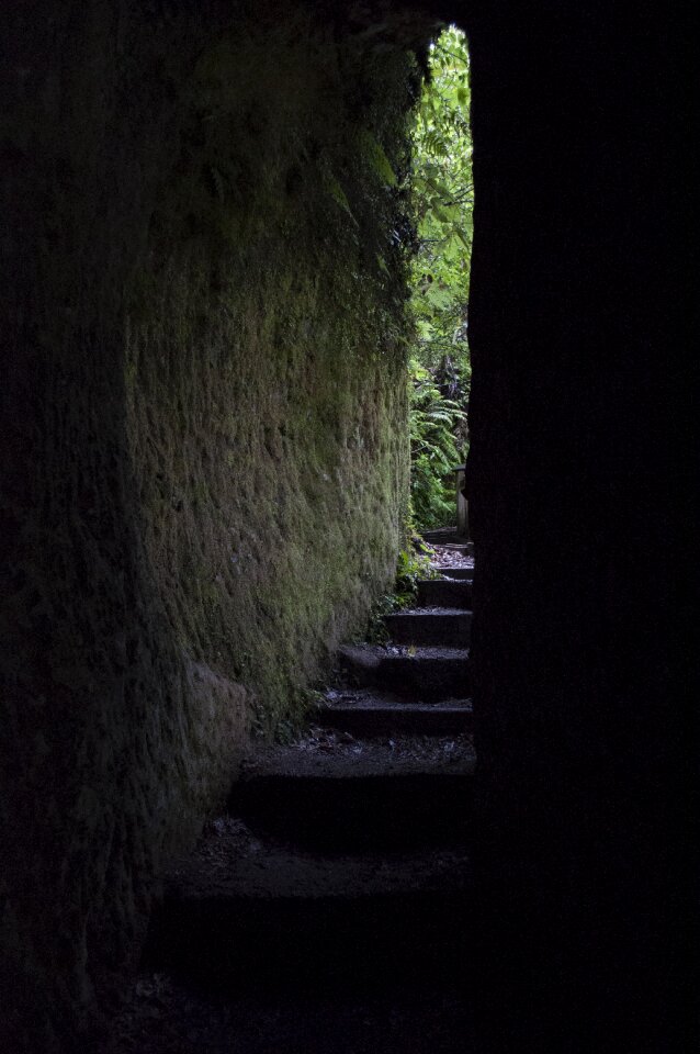 Natural light travel