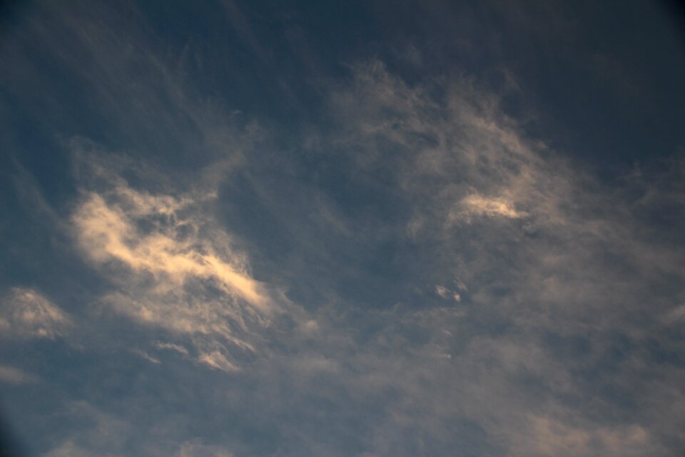 At dusk free cotton