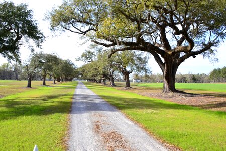 Scenic sc carolina