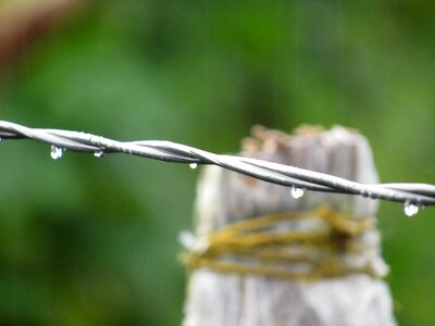 Nature finlandia quindio