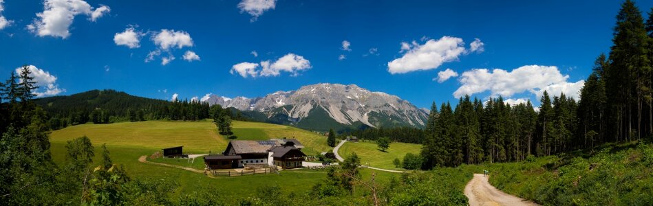 Nature alpine summer