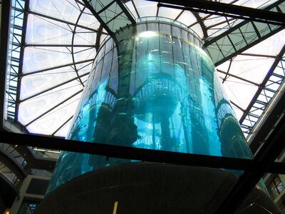 Aquarium aquarium suspended europe photo