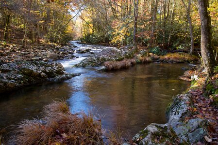 Tennessee nature water