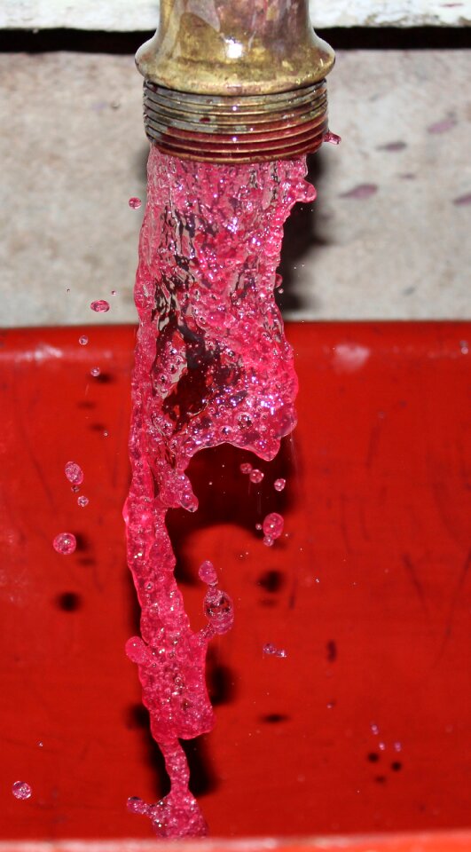 Wine beaujolais juice press