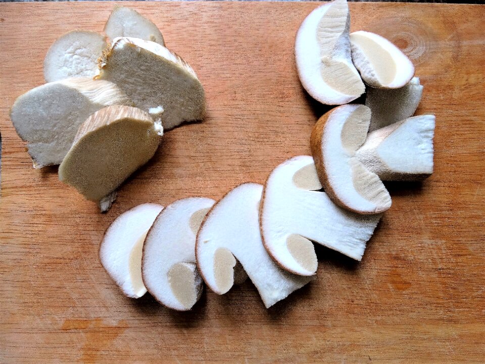 Mushroom figure boletus