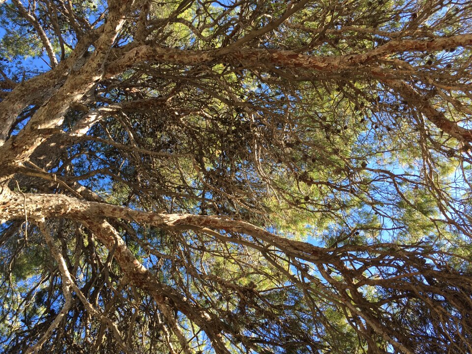 Nature blue outdoor