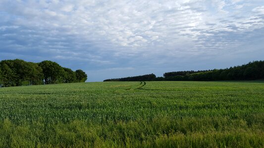 Crop blue sky
