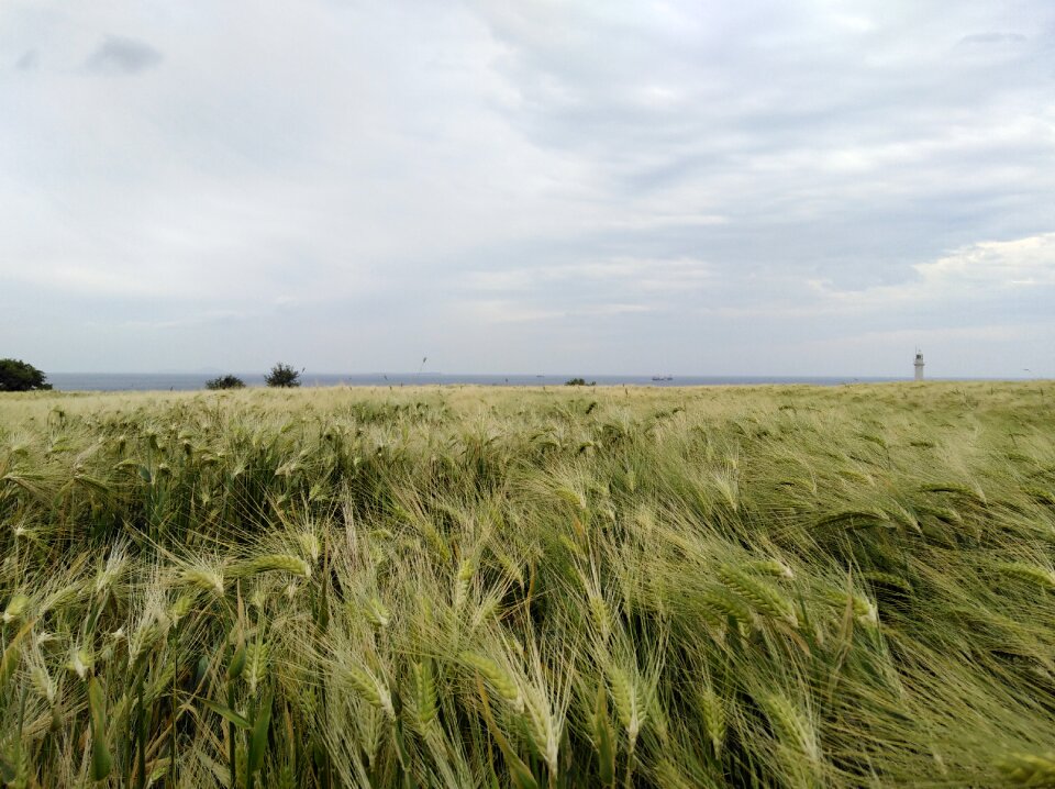 Love landscape nature