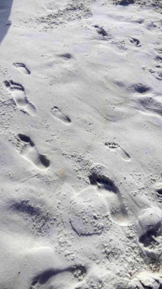 Ocean footstep barefoot photo