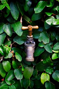Water plumbing drink photo