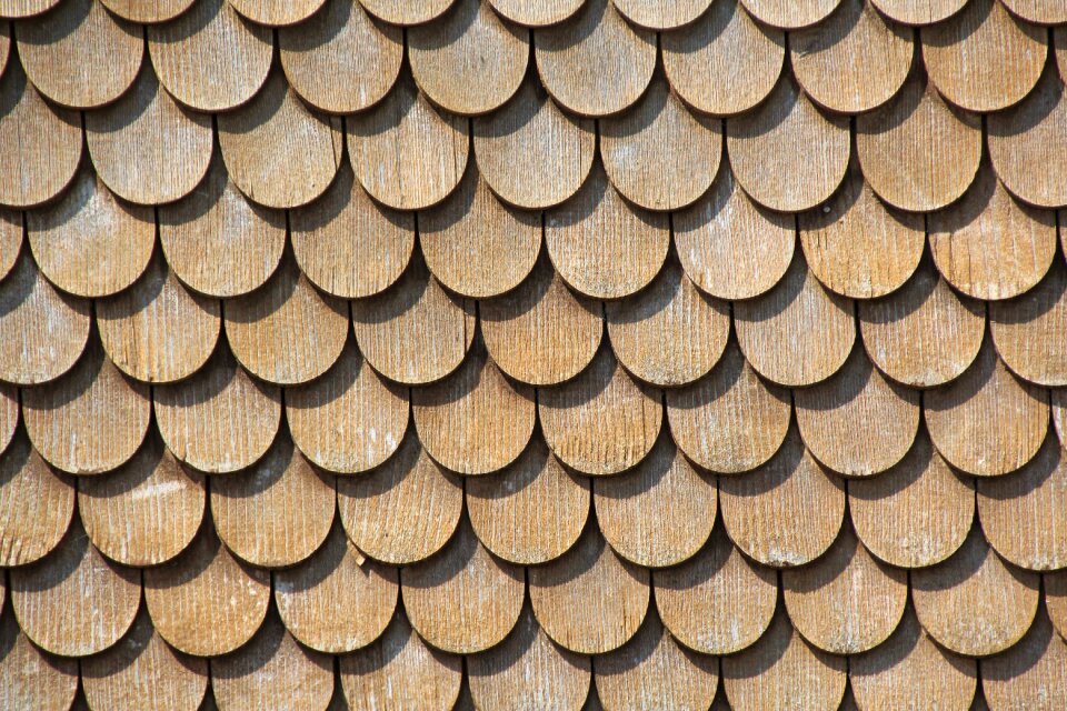 Wood paneling gold wood