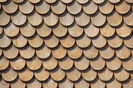 Wood paneling gold wood