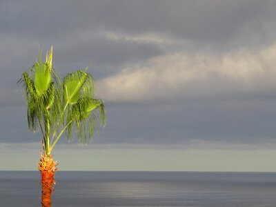 Beach las palmas de gran canaria