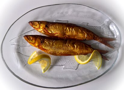 Golden yellow freshwater fish salmonids photo