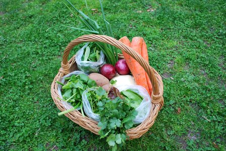 Vegetable healthy diet photo