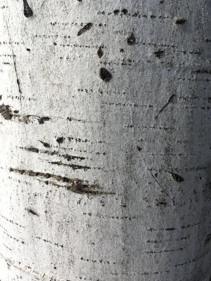 Macro pattern tree