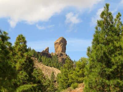 Of great canary islands photo