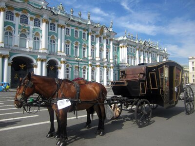 Coach horse tourism