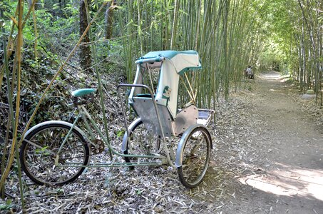 Zen customer service bamboo