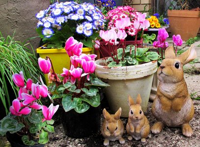 Garden statues rabbits