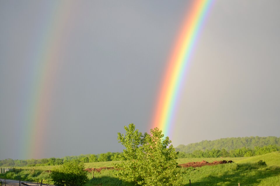 Nature sky summer