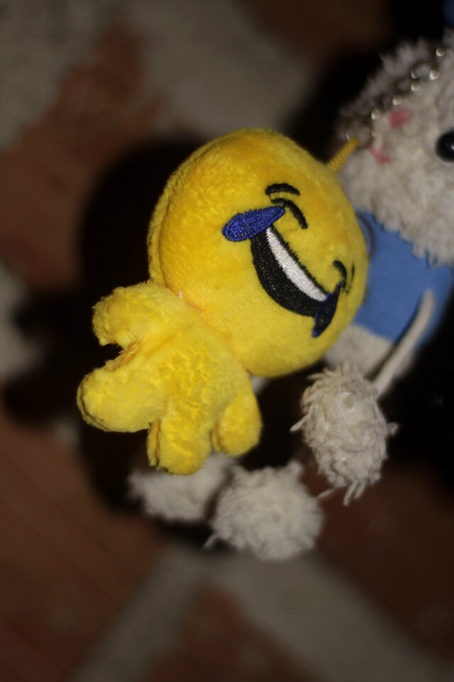 Teddy chiquito he