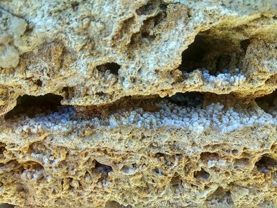 Beautiful stone porous stone natural stone