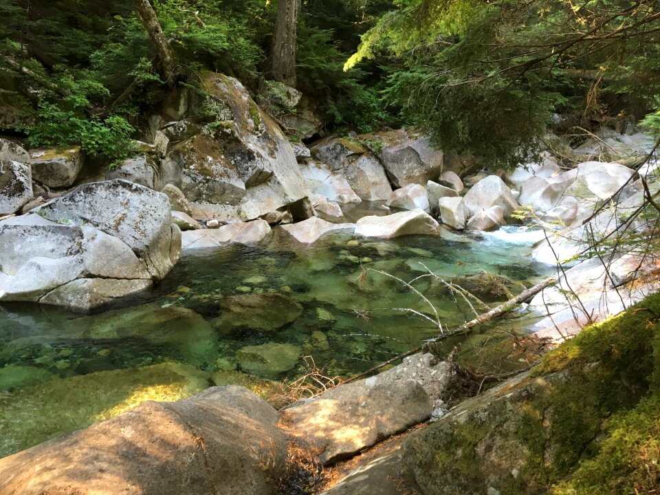 Water forest landscape