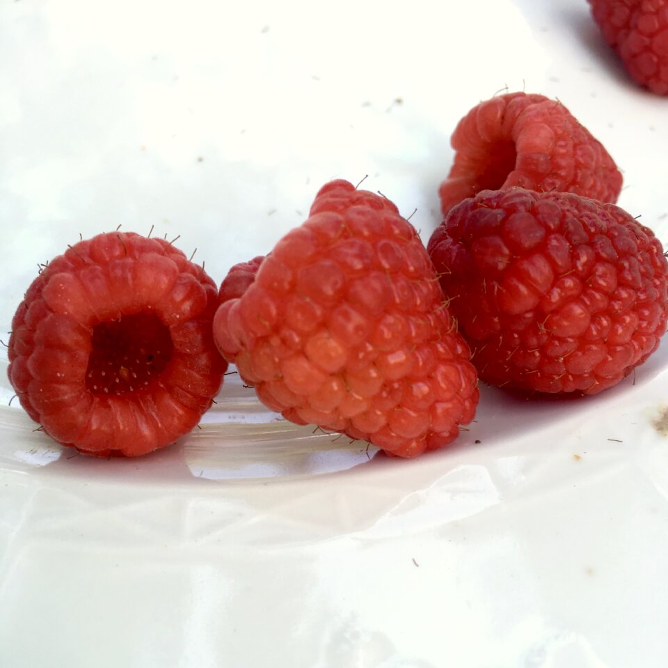 Raspberry berries wild fruits