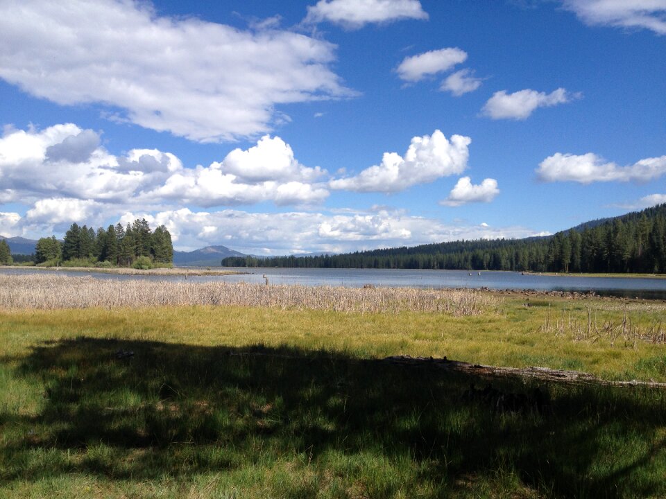 Landscape summer outdoor