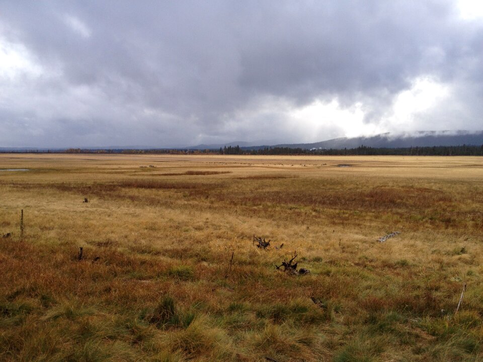 Meadow weather scene