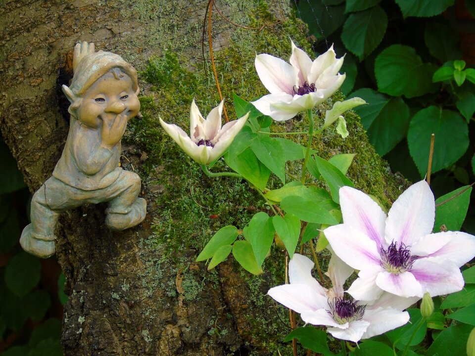 Bloom purple plant