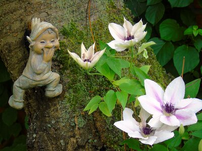 Bloom purple plant