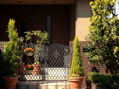 Home detached the front of the plant