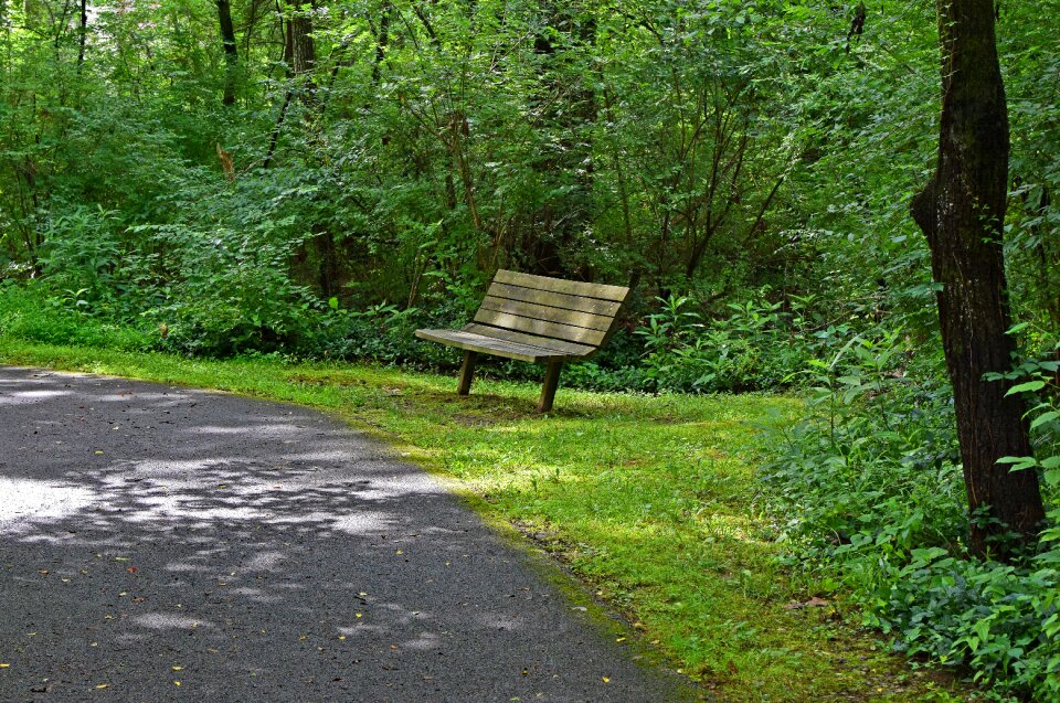 Path restful peaceful