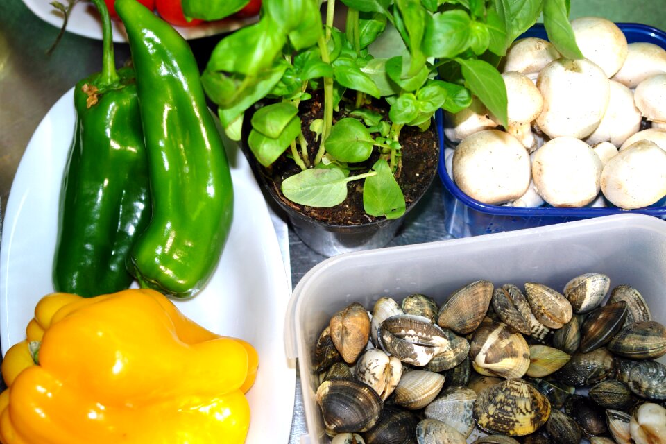 Cooking fresh healthy