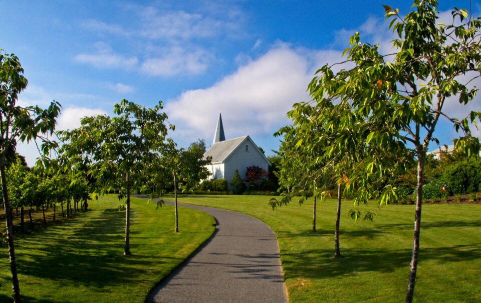 North island path nature