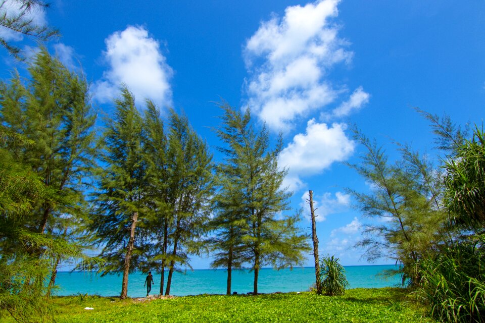 Bay view beach beautiful