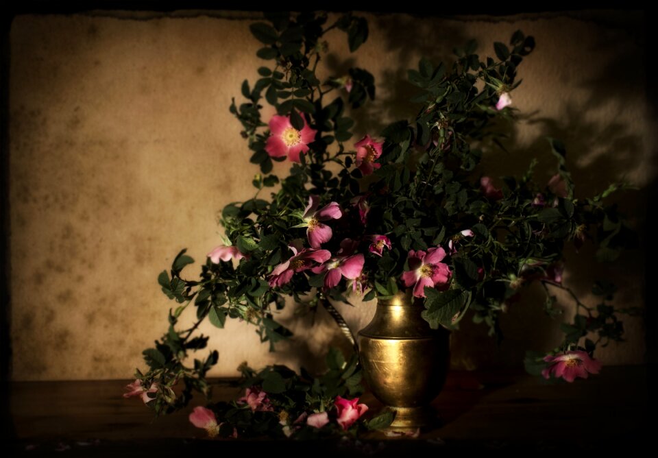 Composition vase manipulation