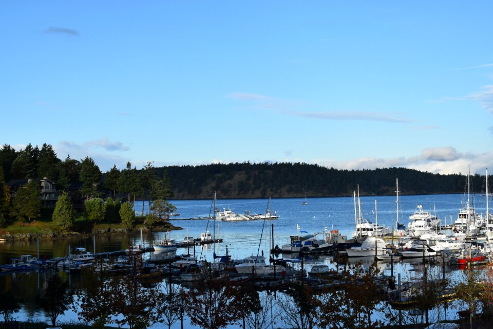 Scenic landscape