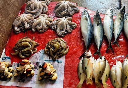 Fresh market fish photo