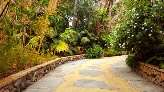 Away road jungle park