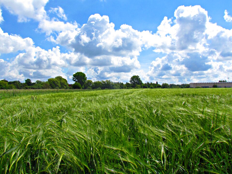 Landscape spring sky