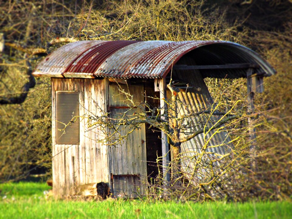 Cottage shed nature