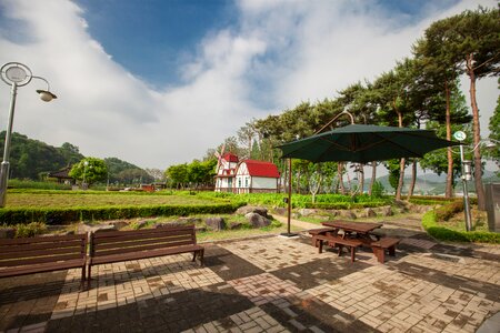 Wood garden outdoor photo