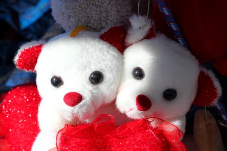 Cute nice relationship
