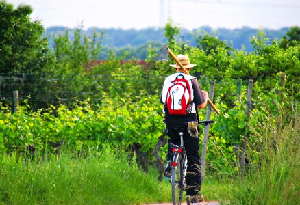 Cyclist village spring