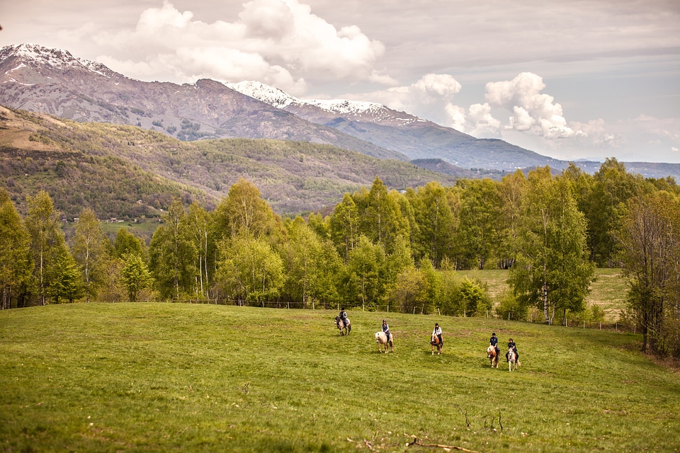 Horses italy mountain