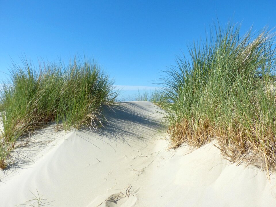 North sea beach borkum